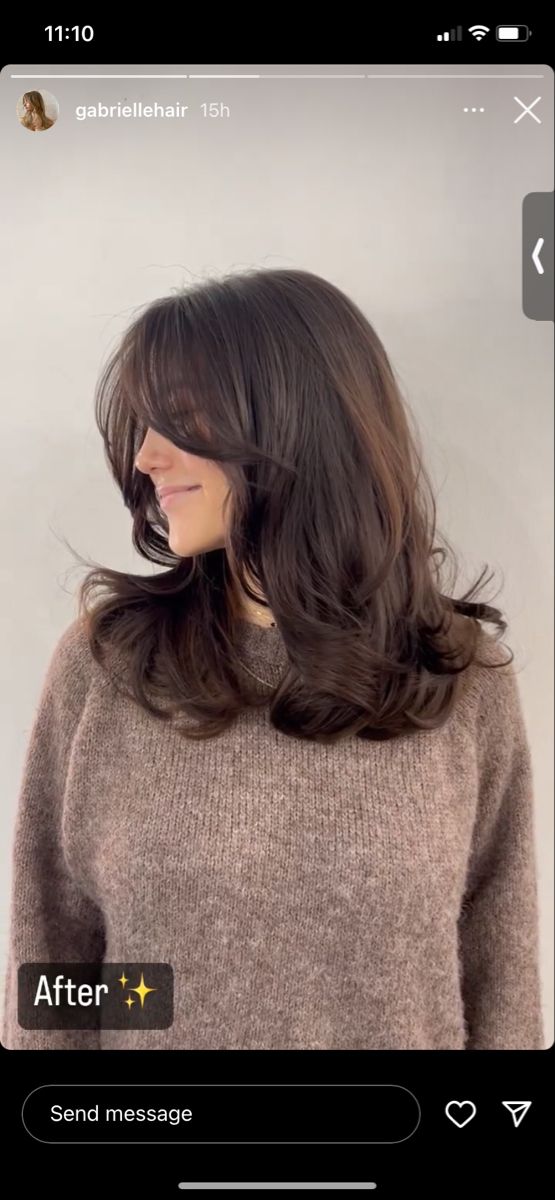 Brown hair, medium to short length, lots of volume and movement, curtain bangs , bouncy Mid Length Hair With Layers Brown, Hair Blowout Medium Length, Blowout Hair Shoulder Length, 90s Collarbone Length Hair, Medium Length Brown Hair With Curtain Bangs, Brown Hair Mid Length Layers, Mid Haircut Layers, Mid Short Hair Cuts For Women, Brown Mid Length Hair With Layers