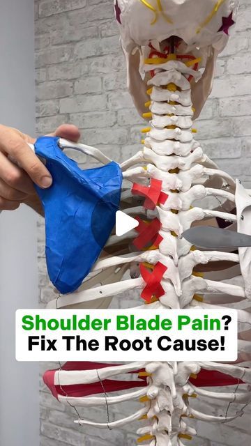 a person holding an object in their hand with the caption shoulder blade pain? fix the root cause