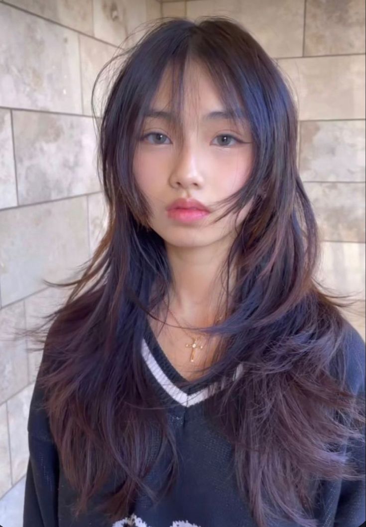 Different Layered Haircuts Medium, 2016 Layered Hair, Layers For Long Hair Asian, Popular Korean Haircut For Women, Layered Hime Haircut Long, Wispy Hime Cut, Soft Himecut, Two Layers Haircut, Hair Cuts Layers Long