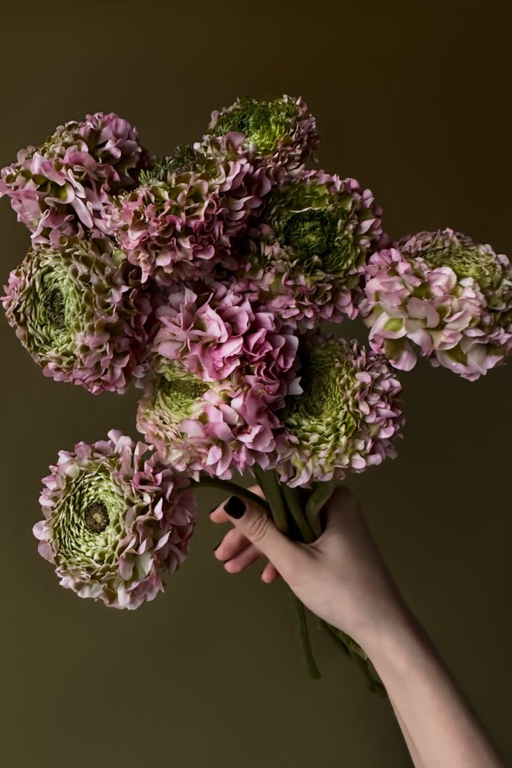 a person's hand holding a bunch of flowers in front of a brown background