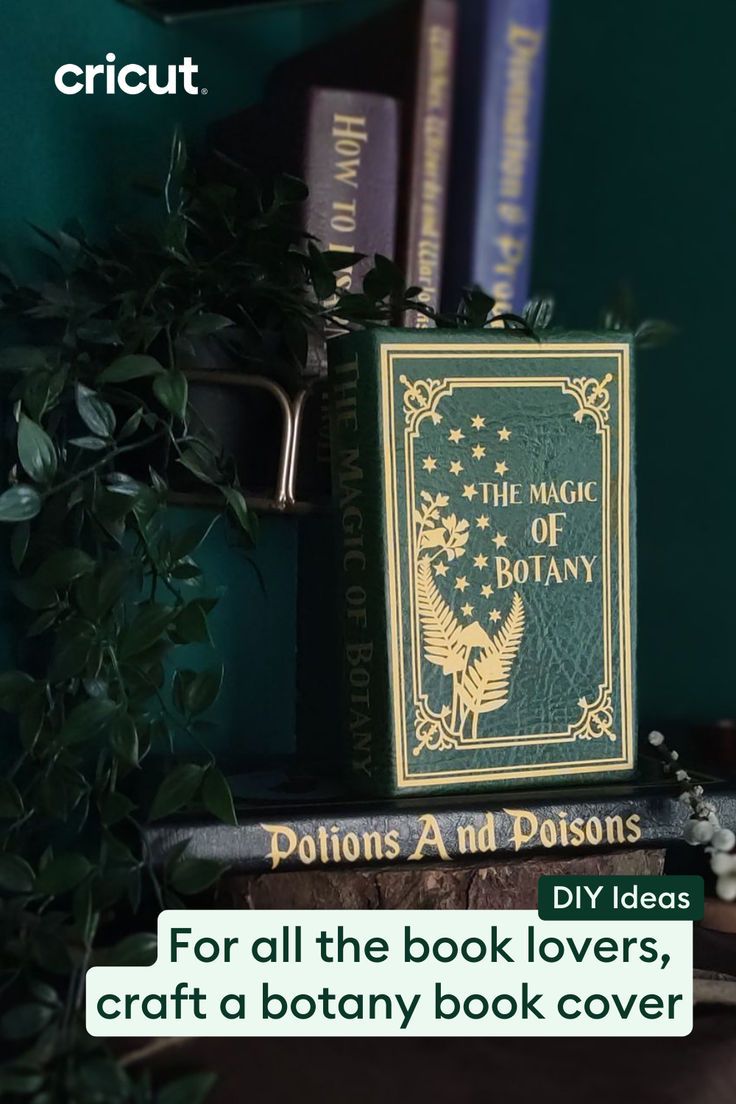 a book sitting on top of a table next to a plant and bookshelf