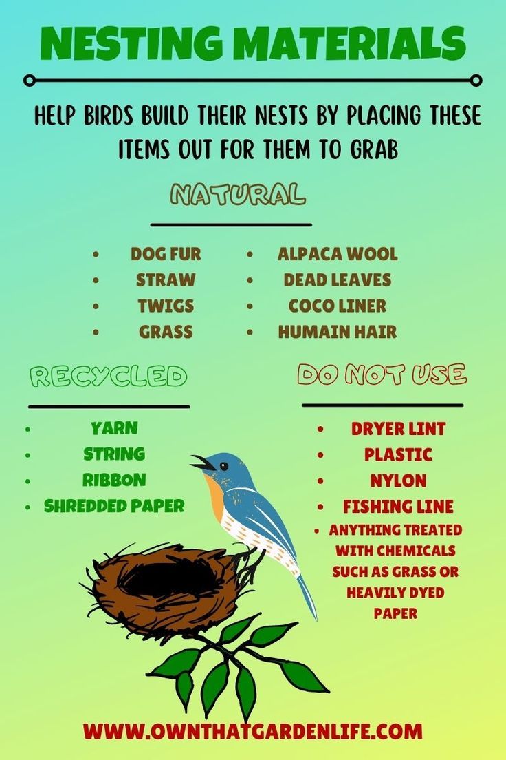 a poster with birds and nesting materials on the bottom, below it is an image of