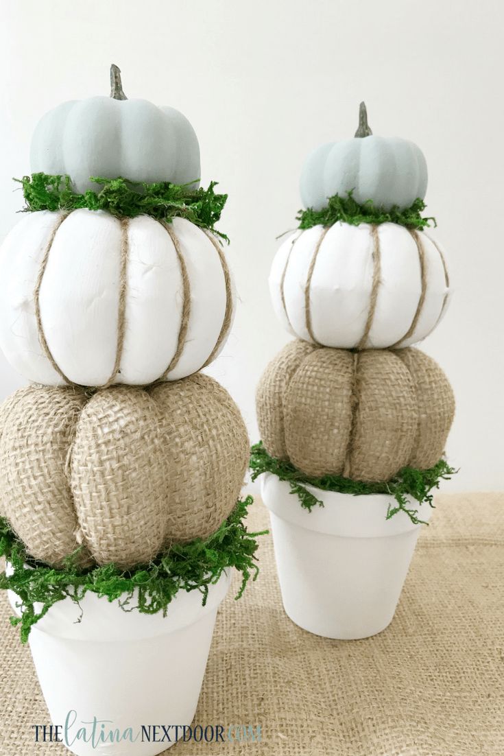 two white pumpkins are stacked on top of each other in a potted plant