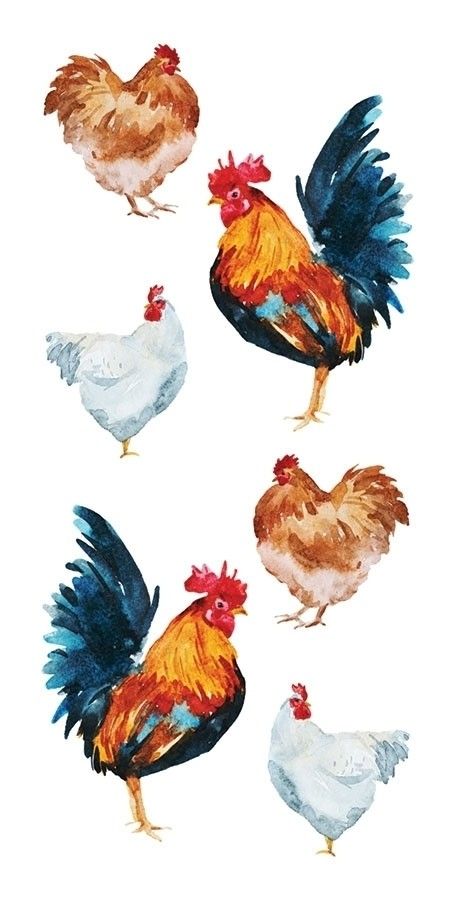 four roosters are standing in the same direction