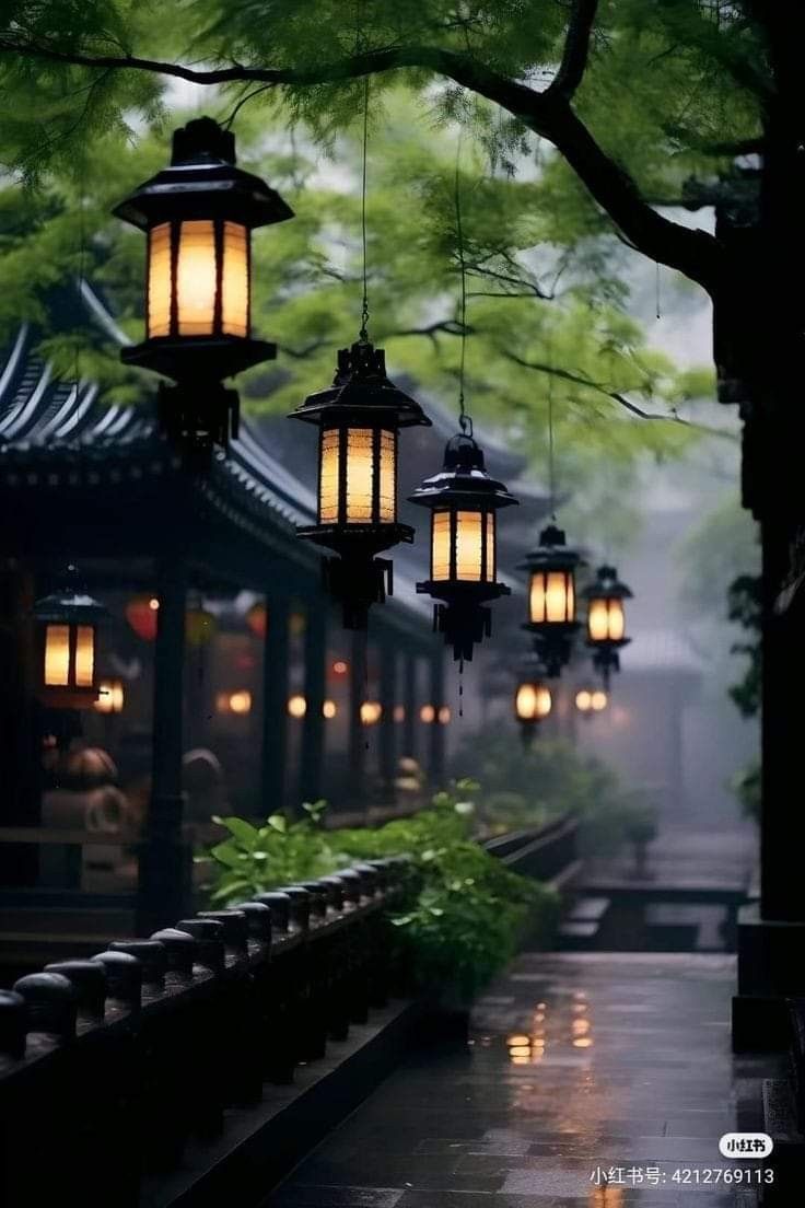 lanterns hanging from the ceiling in front of trees