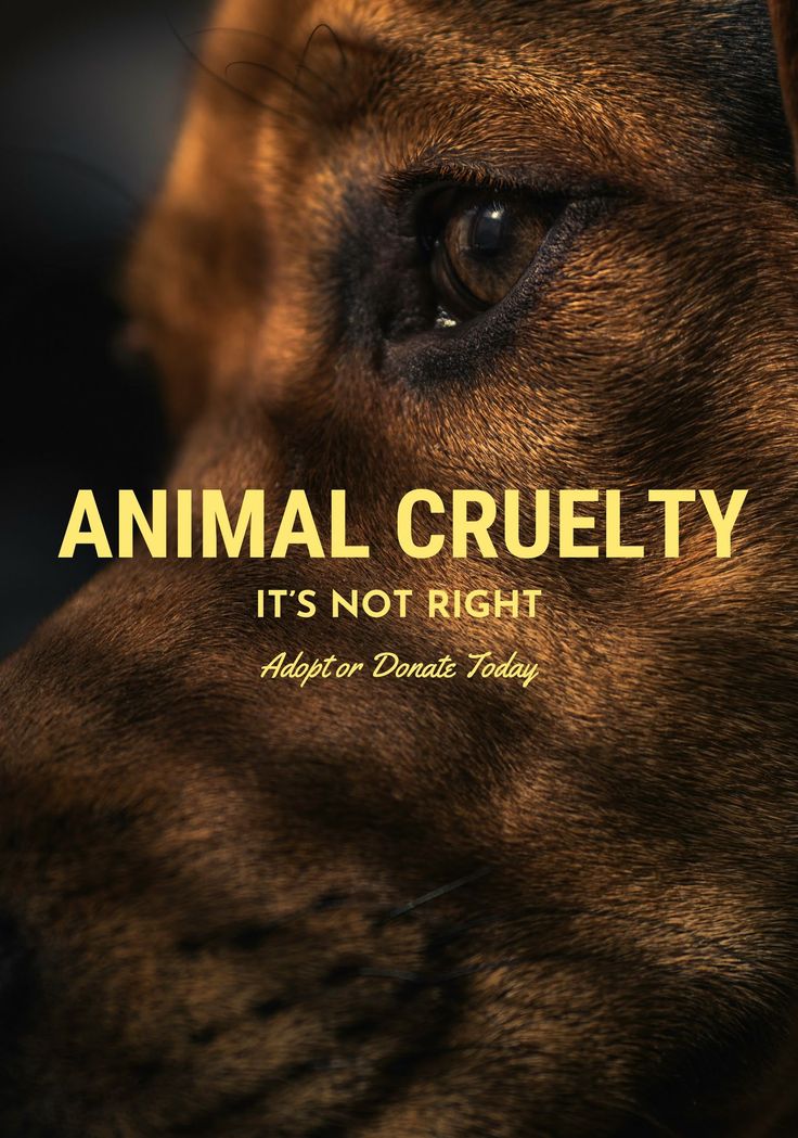 a close up of a dog's face with the words animal cruelly it's not right