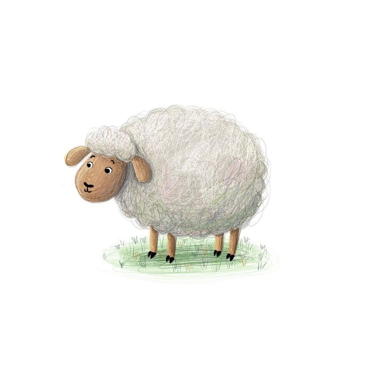 a drawing of a sheep standing in the grass