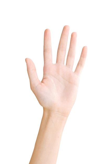 a person's hand reaching up into the air