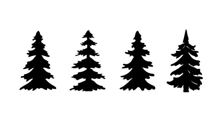 the silhouettes of three pine trees are shown in black on a white background,