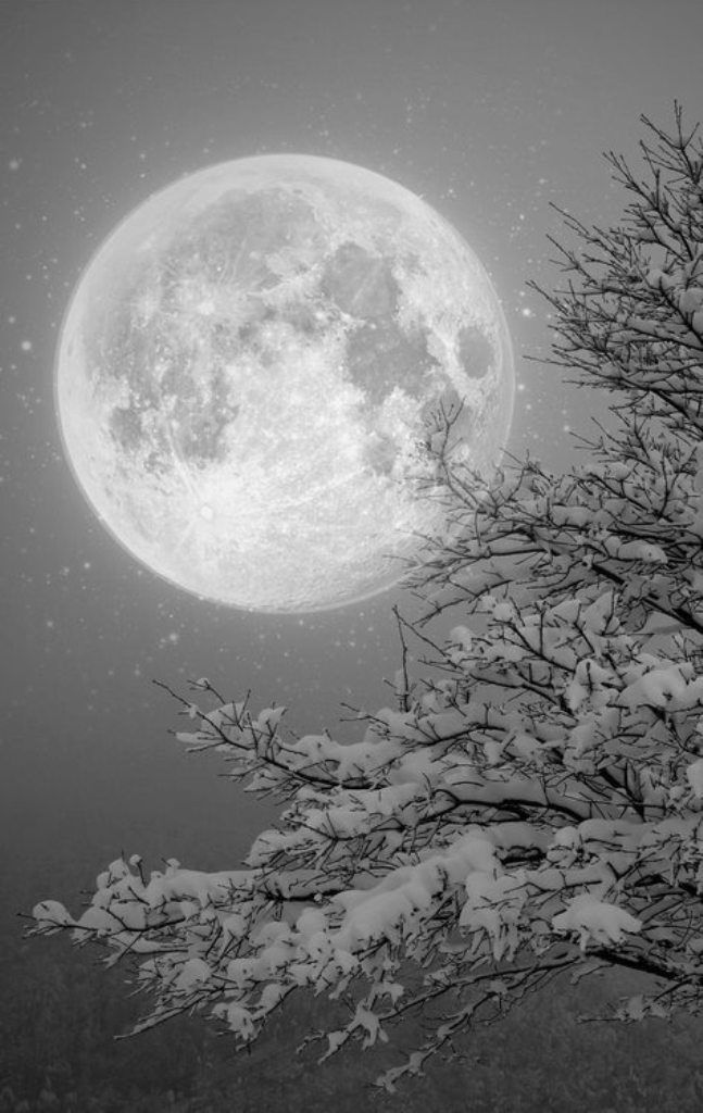 the full moon shines brightly in black and white as it rises above snow - covered trees