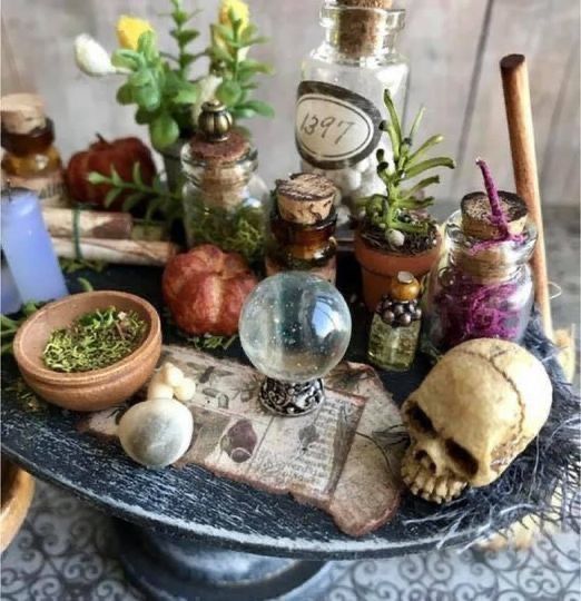 a table topped with lots of different types of plants and jars on top of it