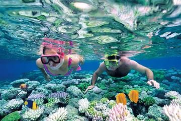 two people snorkeling over a coral reef