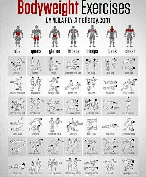 the bodyweight exercises poster is shown