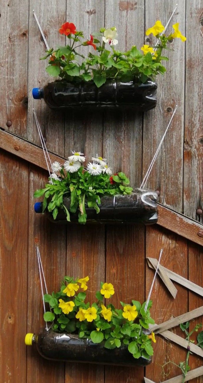 three hanging flower pots on the side of a wooden wall