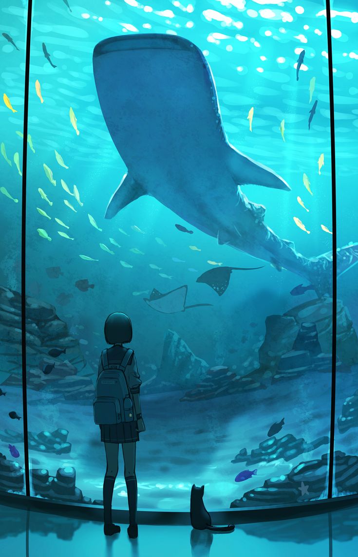 a person standing in front of an aquarium looking at a shark