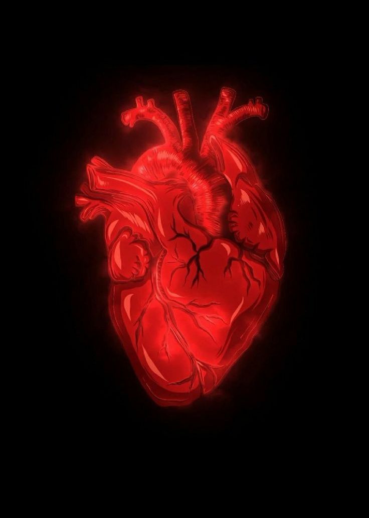 a glowing red heart in the dark