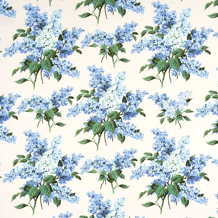 blue flowers on white background with green leaves