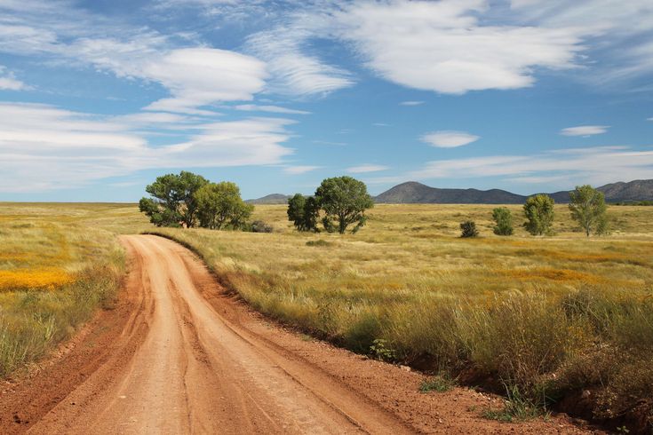 a dirt road in the middle of an open field