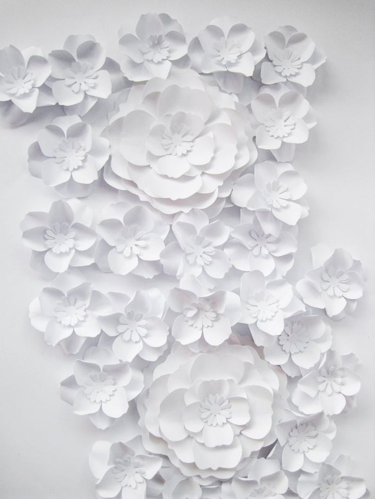 white paper flowers are arranged on the wall