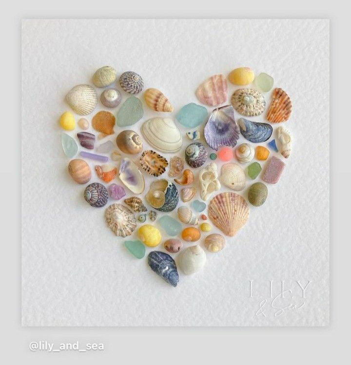 a heart made out of seashells on a white background