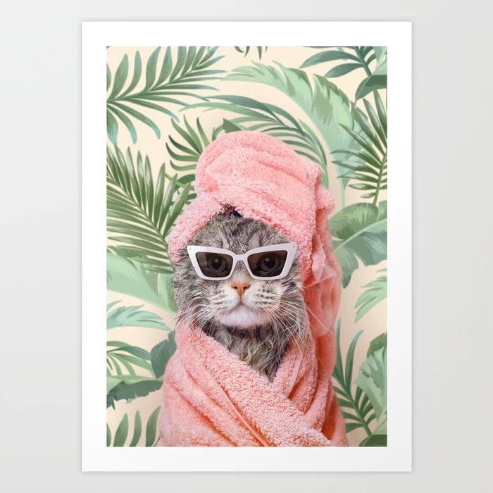 a cat wearing sunglasses wrapped in a towel