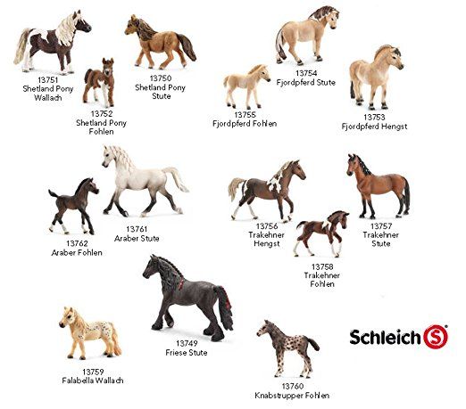 the different types of horses are shown in this poster, which shows them all different colors and sizes