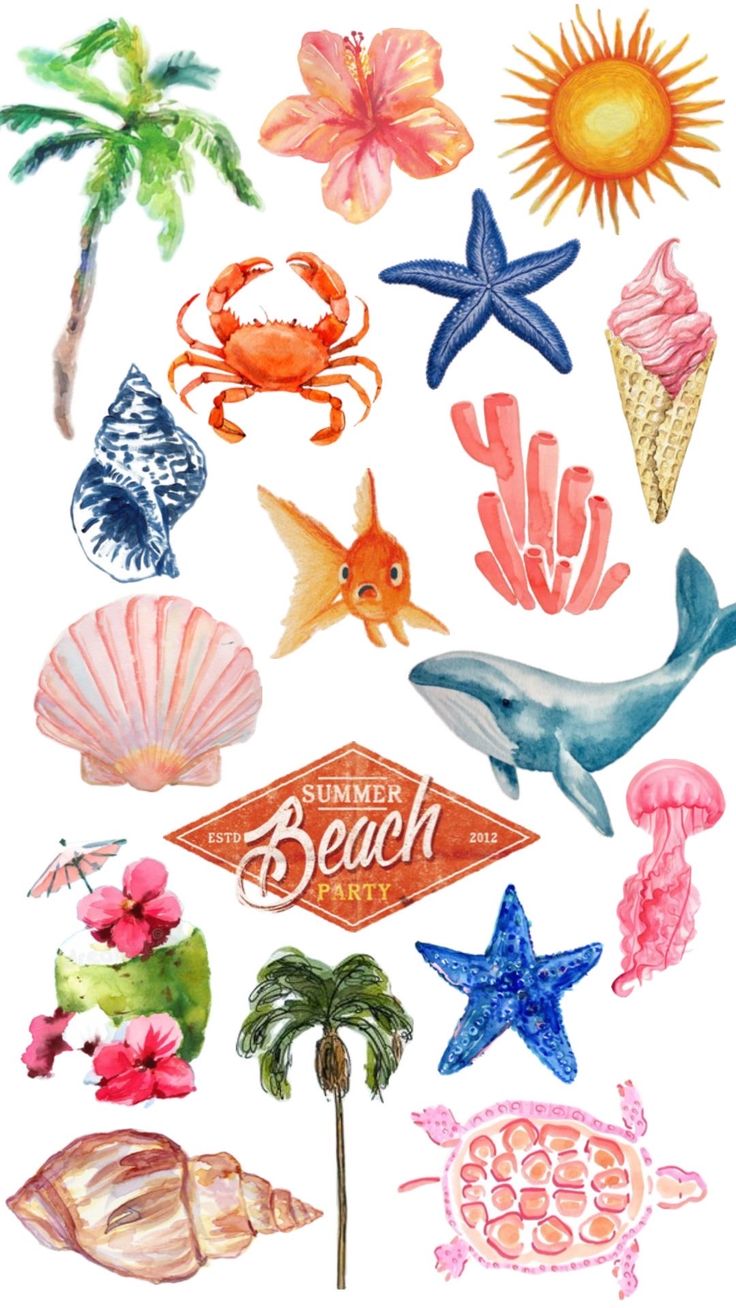 watercolor painting of different types of sea animals and seashells on a white background