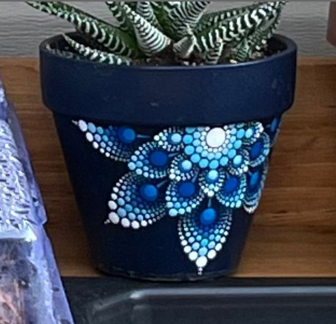 a potted plant sitting on top of a wooden table