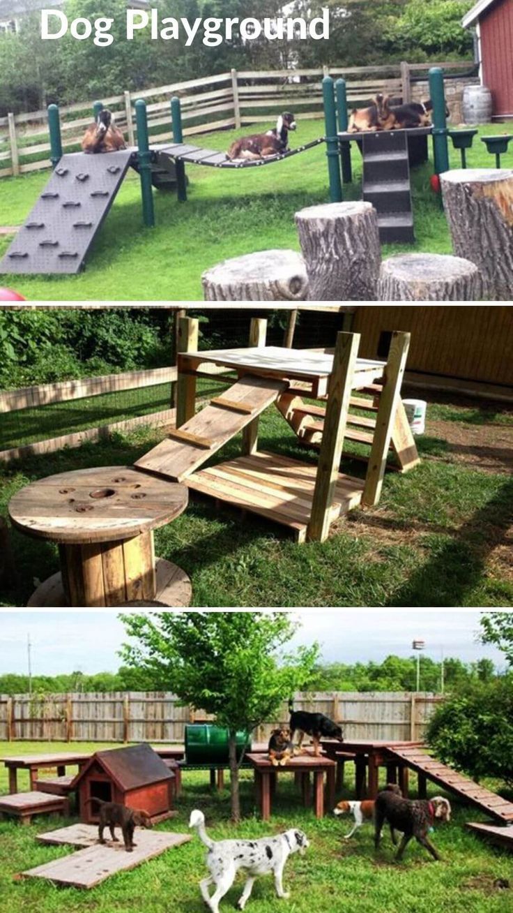 the dog playground is made out of wood and has two dogs on it, one in front