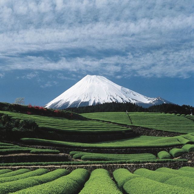 a green landscape with a mountain in the background and blue skies above it, as seen from across the valley