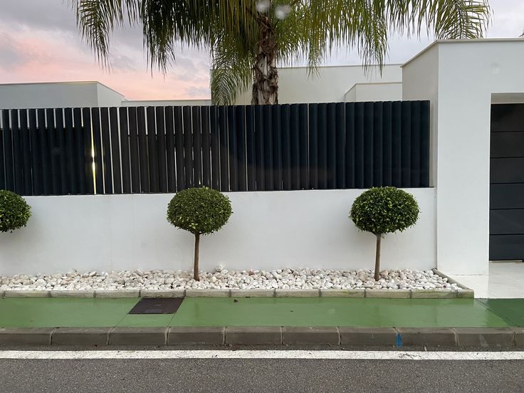 three trees in front of a white wall with green grass and rocks on the ground