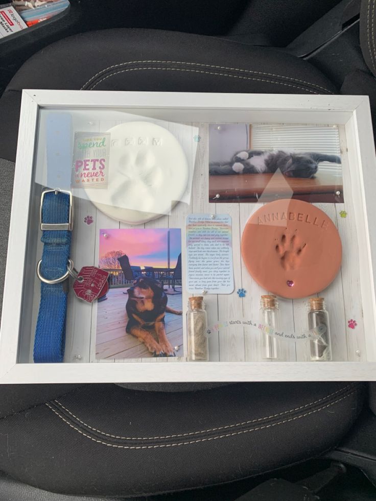 a dog's paw and other items are displayed in a display case on the back seat of a car