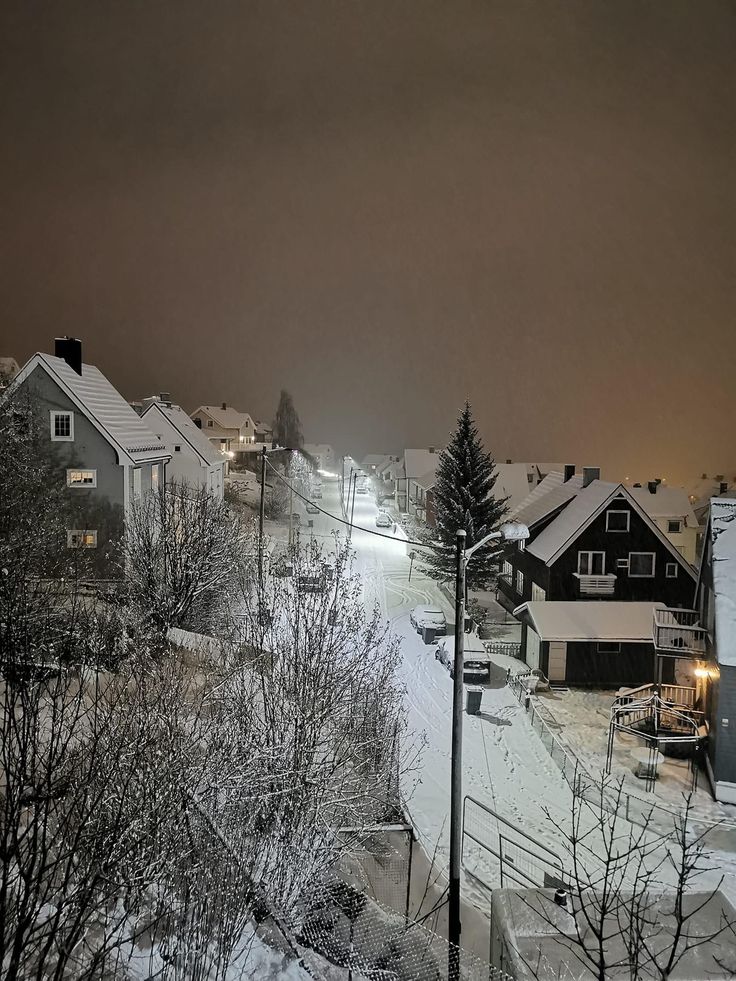 a snowy street with houses and trees in the background at night, as seen from across the street