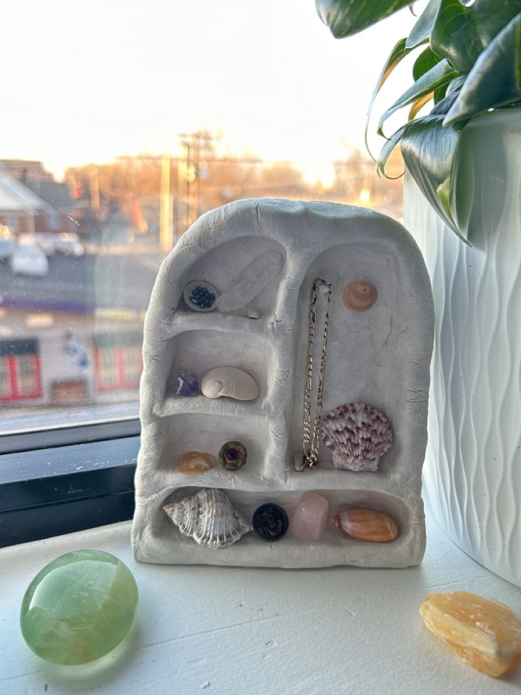 an assortment of seashells and shells in a display case on a window sill