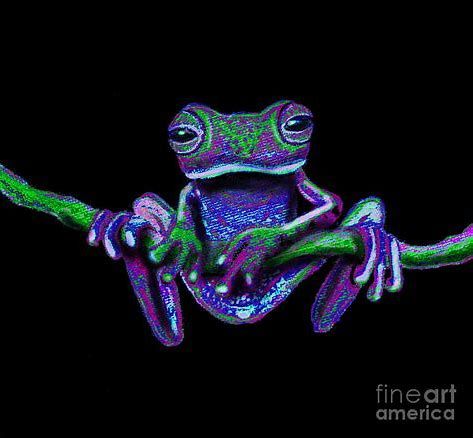 a purple and green frog sitting on top of a tree branch with its legs spread out