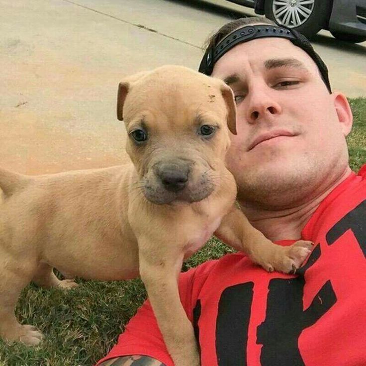 a man laying in the grass with a puppy on his lap and looking at the camera