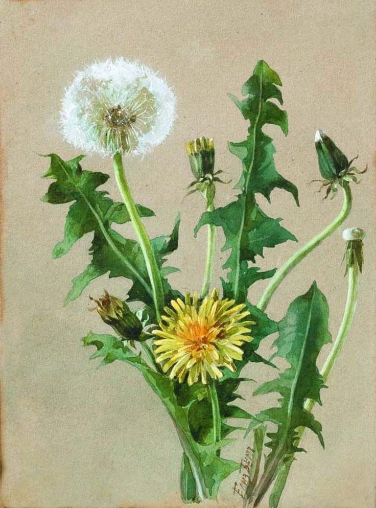 a painting of dandelion and other flowers in a vase