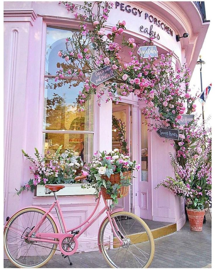 a pink bicycle is parked in front of a flower shop