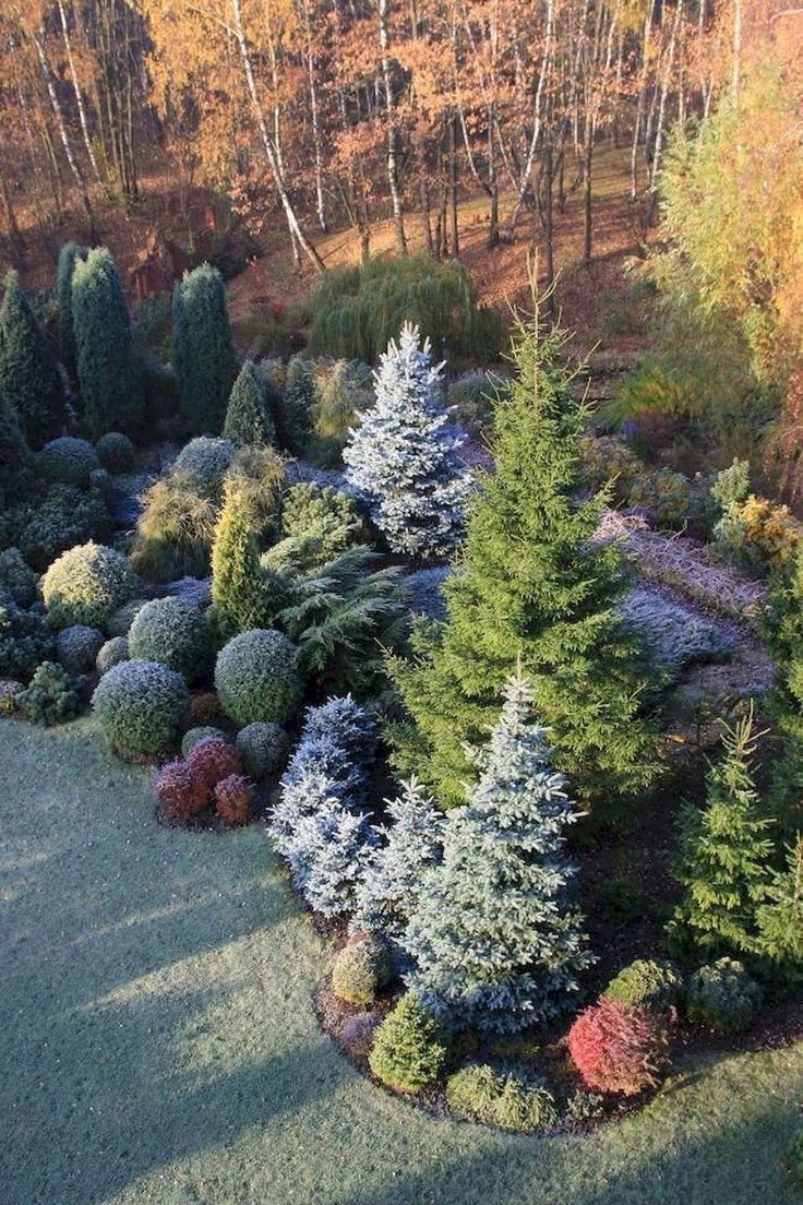 an aerial view of trees and shrubs in a garden