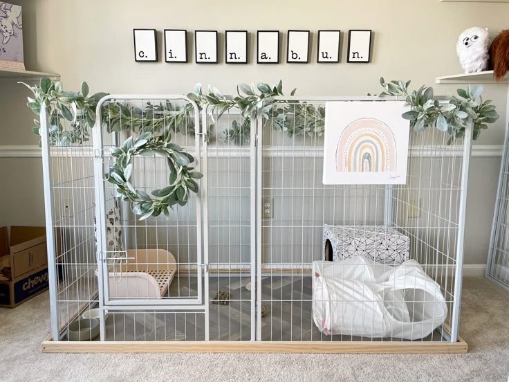 A white playpen for a bunny with lamb’s ear garland and wreath. Rainbow canvas photo. Cinnabun written in letter frames on the wall. Bunny Cage Decor, Bunny Set Up Indoor Diy, Rabbit Habitat Indoor, Bunny Habitat Indoor, Rabbit Set Up Indoor, Bunny Set Up Indoor Cute, Free Roam Bunny Set Up, Bunny Enclosure Ideas, Rabbit Setup