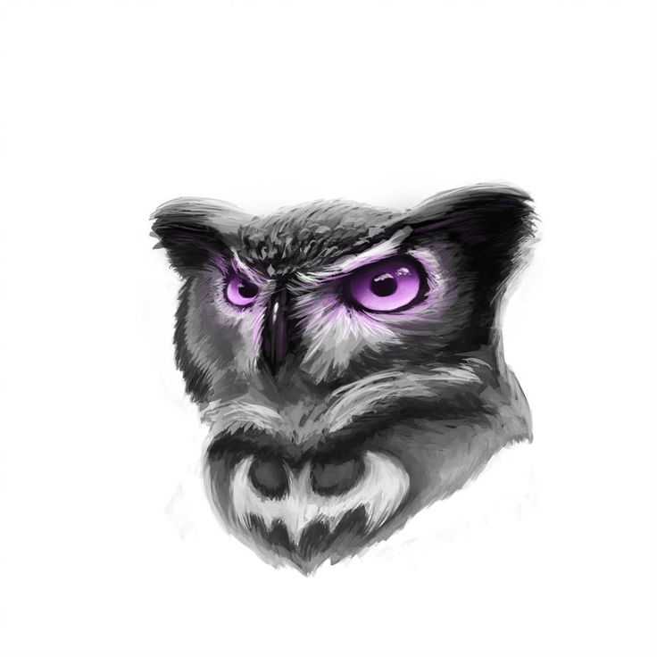 an owl with purple eyes is shown