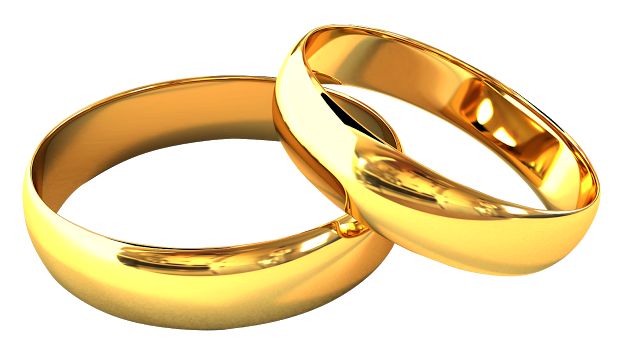 two shiny gold wedding rings on a white background