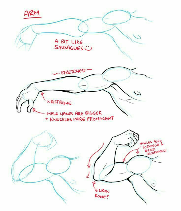 how to draw the human body in 3 easy steps drawing lessons, drawing tips, drawing sketches, art drawings, drawing techniques, anatomy drawing reference poses, arm muscles, person, hand reference, figure, arms and leg