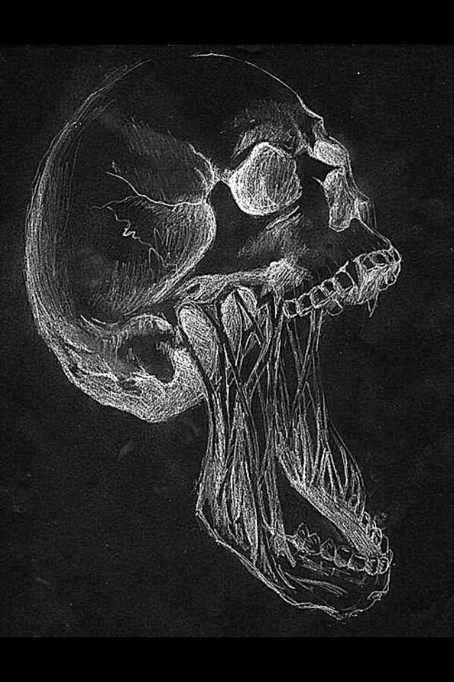 a black and white drawing of a human skull with the lower jaw missing from it