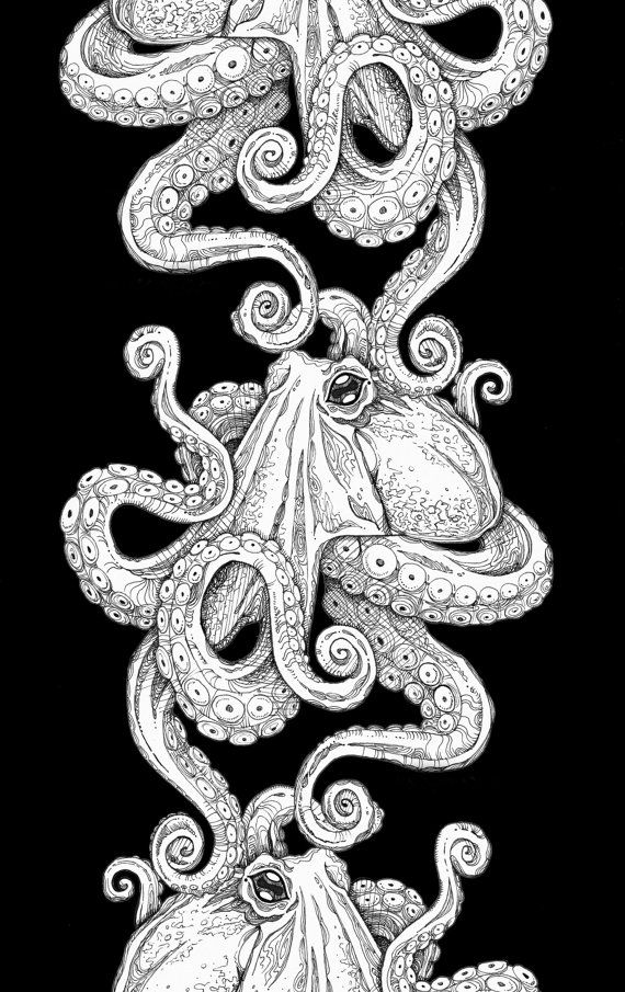 an octopus drawing with white ink on black paper