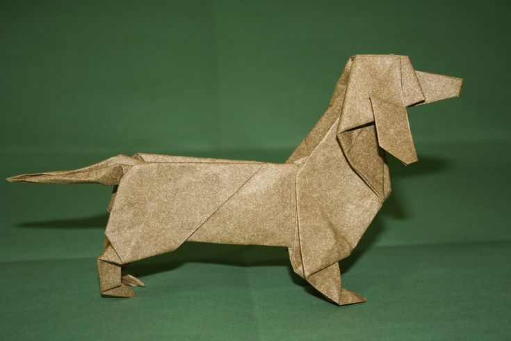 an origami dachshund dog on a green background