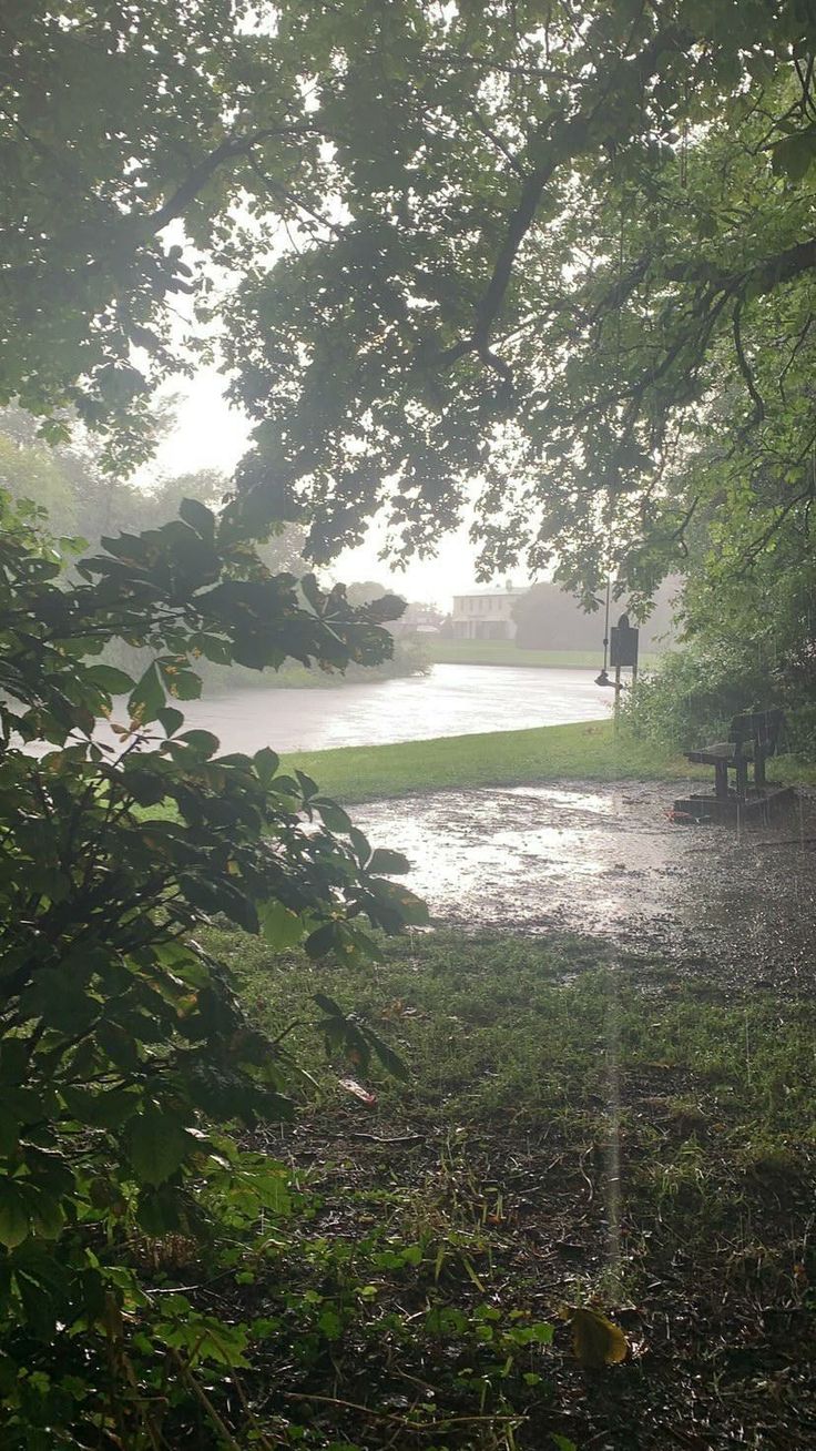 a park bench sitting on top of a lush green field next to a body of water