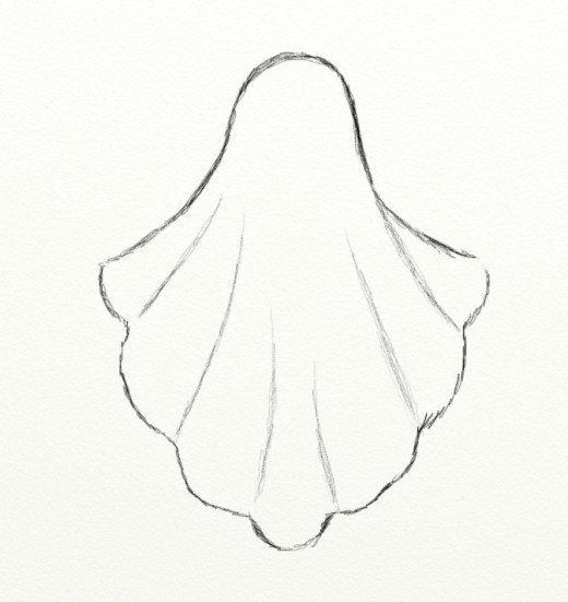 a drawing of a shell on a white paper