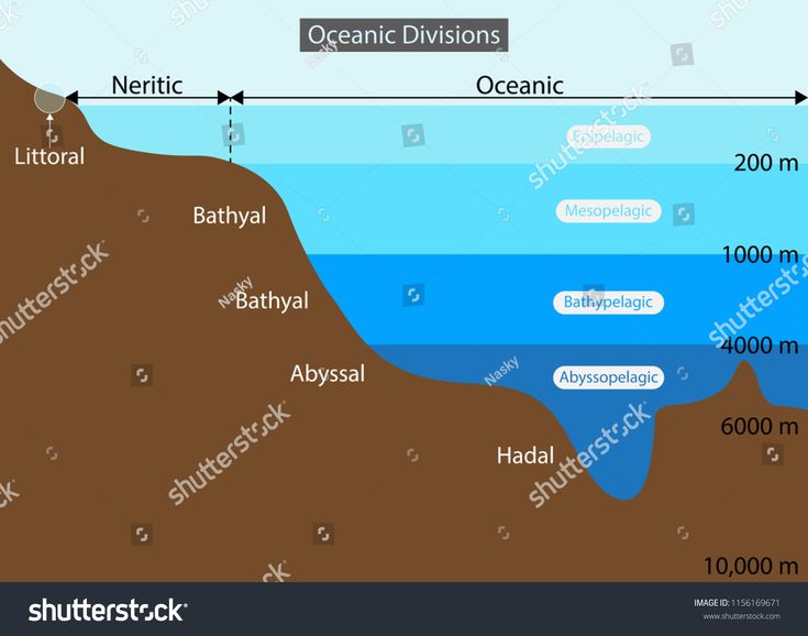 How Deep Is The Ocean Diagram