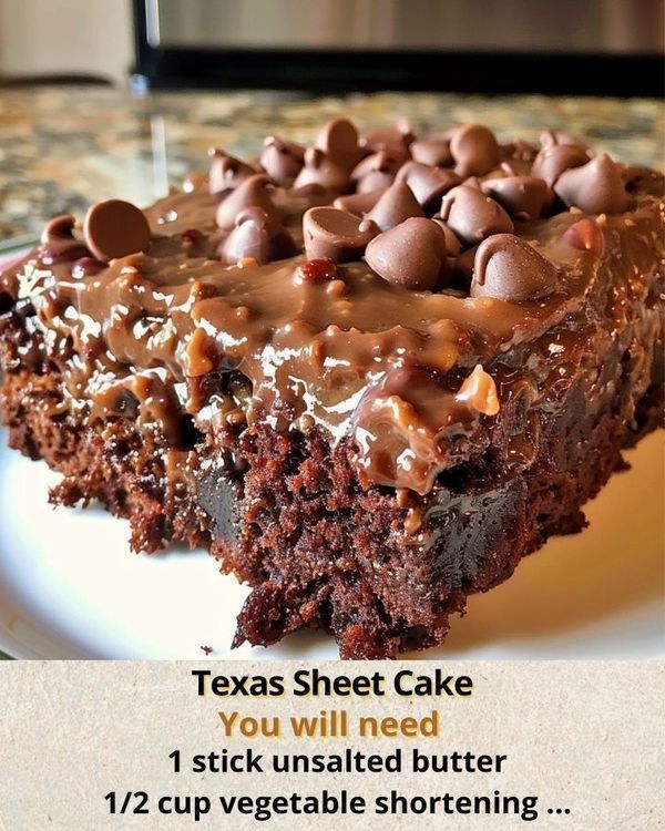 a piece of cake on a plate with chocolate chips